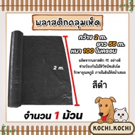 พลาสติกคลุมเห็ด หนา 0.10mm. กว้าง 2m. ยาว 55m. (10kg.) สีดำ จำนวน 1-3 ม้วน พลาสติกเพาะเห็ด ใช้งานได้