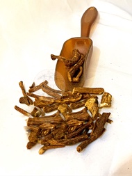 Dandelion root akar dandelion kering roasted dried root / teh ginjal