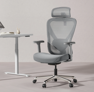 Hinomi Q1 Ergonomic Home Office Mesh Chair Ergochair With Adjustable Lumbar Support Headrest and Arm