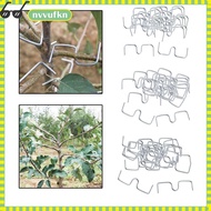 20Pcs Fruit Tree Branch Puller Fruit Tree Planting Tool Plum Tree Open Angle Pull Branch Stereotyped