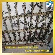 INTERNAL SWIFTLET SWIFLET BIRD SOUND SUARA INAP BURUNG WALET WALIT 燕子 声 MP3