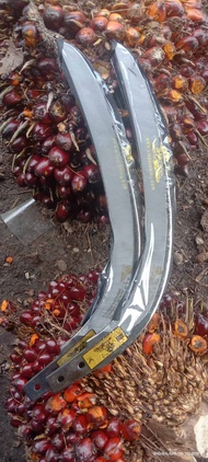 EGREK  SAWIT KLS LONG ULTRA ORIGINAL MADE IN MALAYSIA {FULL SET]