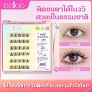 Ready To Ship eelloo False Eyelashes Without Glue Natural Self-Adhesive