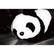 Film Rinse Scan Underwater Camera Rinse Disposable Camera Rinse c41 Scan Rinse Scan Film Film