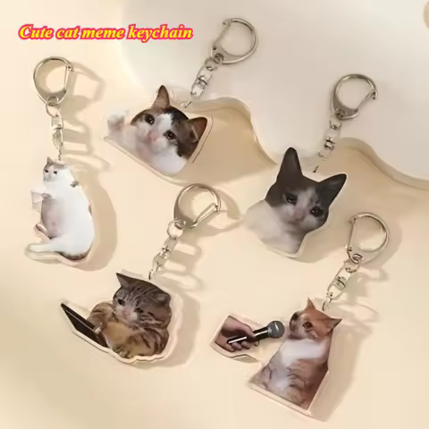 1pcs Acrylic car keychain new cute cat meme keychain crying cat keychain aggrieved cat pendant key M