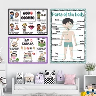 Children's Body Parts five senses five senses Thinking Map, English Classroom Decoration Poster