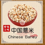 Raw Barley/Chinese Barley/Barley/Barley/Barley/Premium Barley/Bali Cina/500G/