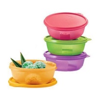 July Tupperware Modular Bowl 600ml (4)