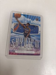 Panini NBA Hoops Skyview Andrew Wiggins 球員卡