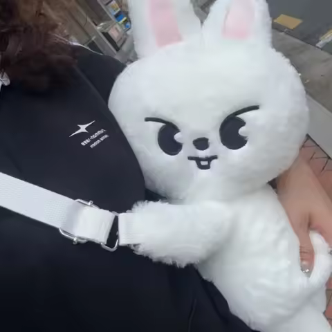 New SKZOO Stray Kids Bag Plush Crossbody Bag skzoo Soft and Cute Crossbody Bag Kid Adult Fans Birthd