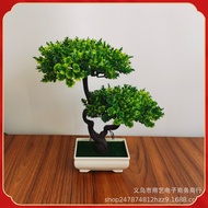 Simulation Thuja Welcome Guest Pine Bonsai Arhat Pine Entrance Aisle Office Decoration Light Luxury 