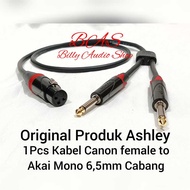 Ashley Audio Cable Jack Canon XLR Female to Akai Mono 6.5mm Branch 50 CM - 3 METERS