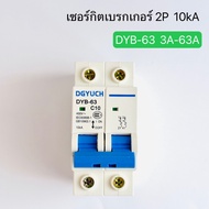DYB-63 (DZ47-63) Circuit Breaker Ball 2P 10kA 3A-63A