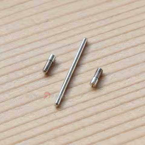 Watch Band Screw Tube for Audemars Piguet AP 15510/15500/26674/26331/26240/15400 Royal Oak 41mm Watc