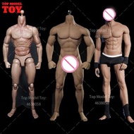 B001 Bd009 Bd001 Bd010 Bd007 S001 Mx02-A Pl2018-M35 1/6 Male Standard Muscle Joint Body Soldier