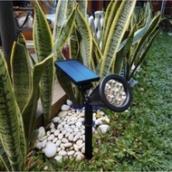 Best Selling solar Powered Spotlight Garden Lights solar cell Led 5W 7W 5 Watt 7 Watt LED SALE