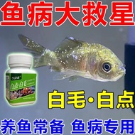 White Dot Disease Fish Potion Mildew Net Fish Tank Dedicated Ornamental Fish Potion Mildew White Dot