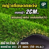 หญ้าเทียมภายนอก 2CM แซมหญ้าแห้งแบบม้วน ยาว 25 M. แต่งสวนสมจริง วัสดุ PE เคลือบ UV ทนทาน ป้องกันแดด