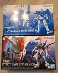 RG Tallgeese II + Force Impulse Gundam