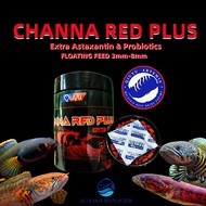 Qiuyu Channa Red Plus Channa , Snakehead &amp; Carnivorous Fish High Nutrient Fish Food Floating Feed