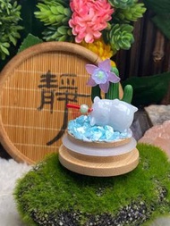 🦋香港🇭🇰現貨🛍🦋天然翡翠A玉：      😍超可愛LuLu打滾豬-附送陳列樽及掛繩                                                          