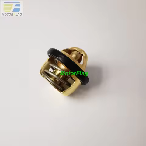 Thermostat for BENELLI TNT300 BN302 302R 302S TNT25 TRK251 BN251 Leoncino 250 Leoncino 500 502C TRK 