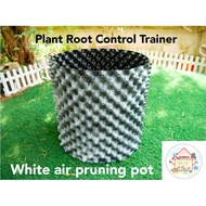 [𝟮 𝘀𝗲𝘁𝘀] White Plant Root Control Trainer/Fast Root Grow Container/Air Pruning Pot/Pasu Buah-buahan 