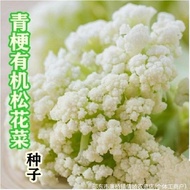 Broccoli Seeds Spring Autumn Cauliflower Vegetables Vegetables Cold-Resistant Green Vegetables Four 