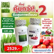 Wheatgrass & Alfalfa Plus + Acerola Bioflavonoid Asahi Complex