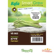 Vegetable Seed Biji Benih BABA VE-063 F1 ASPARAGUS SEEDS 高产芦笋