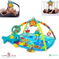 Baby Einstein Play Gym, Nautical Friends