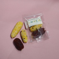 The Burrow A-maize Me Corn Trio