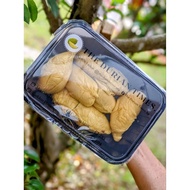 Old tree blackgold MSW durian