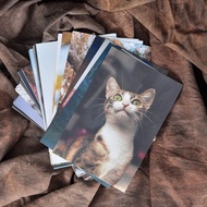 Photo Print 3R | 4R 50pcs Or 100pcs (FREE Shipping)