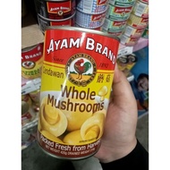Ayam Brand Cendawan Whole Mushroom 420gram