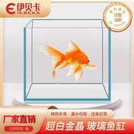 超白玻璃魚缸金晶五線30×30方缸方形桌面中小型魚缸正方形20方缸
