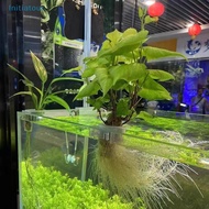 [Initiatour] Aquarium Plant Holder Aquatic Plant Pot Hanging Aquatic Planter Fish  Plant Holder Aquarium Plant Pot Aquarium Accessories