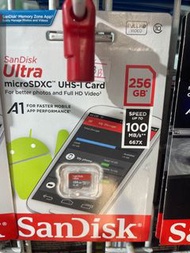 Sandisk 256GB