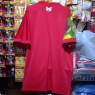 Castle cricket Jersey