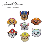 Shoe Charm - Paw Patrol Set of 7 pieces / Zuma / Skye / Marshall / Chase