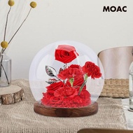 [ Glass Cloche Valentines Day Cloche Ball Jar Dome