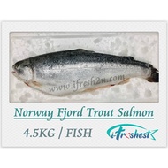 ★Pre order★ Sashimi Grade Norway Fjord Trout