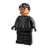 sh0788 Lego DC Super Heroes 76183 76179 The Batman - Selina Kyle Minifigure - New