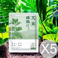 《生活百貨》-《臻宛艾》-個人護理-草本暖貼-艾草X5包(平行進口)