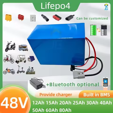 48v LifePO4 Battery 48V 20Ah 25Ah 30Ah 40Ah 50Ah 60Ah 80Ah Lithium iron Battery with BMS for Citycoc