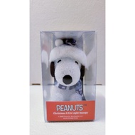 Peanuts Snoopy EVA resin winter figure light table light