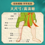 Human Body 12 Twelve Meridian Wall Chart Fourteen Meridian Points Illustrated Posters Chinese Medici