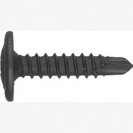 ABD6315B Oval Washer Head (Phlps 100 Pc)