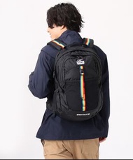 日本 代購 4色 CHUMS Spring Dale 25L Day Pack 背包 背囊 登山 行山 露營 旅行 旅遊 袋 背包客 通學 男裝 女裝