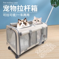 Double-Layer Cat Bag Portable Breathable Medium and Small Dog Cat Cage Large Capacity Multi-Cat Carrying Pet Trolley Case